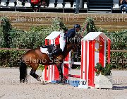 Apolloni Baby Arko GioCav2013 S5 1911 : Apolloni Gianluca, Baby Arko, Campionati Italiani Giovani Cavalli, Cattolica, ph Stefano Secchi ©